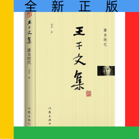 灌水時(shí)代(精)/王干文集