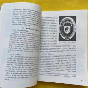 城市形态的设计、发展与演化：城市形态的双向组织研究