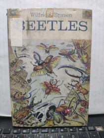 wilfrid s.bronson beetles（英文原版图书）详细内容参照书影8-7