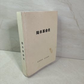 陆丰革命史（实拍图）