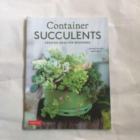 Container Succulents  多肉植物