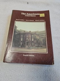 The Americans a brief history美国简史