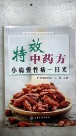 常见病特效疗法系列·特效中药方：小病慢性病一扫光