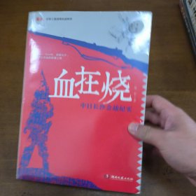鏖战·国军正面战场抗战系列·血在烧：中日长沙会战纪实