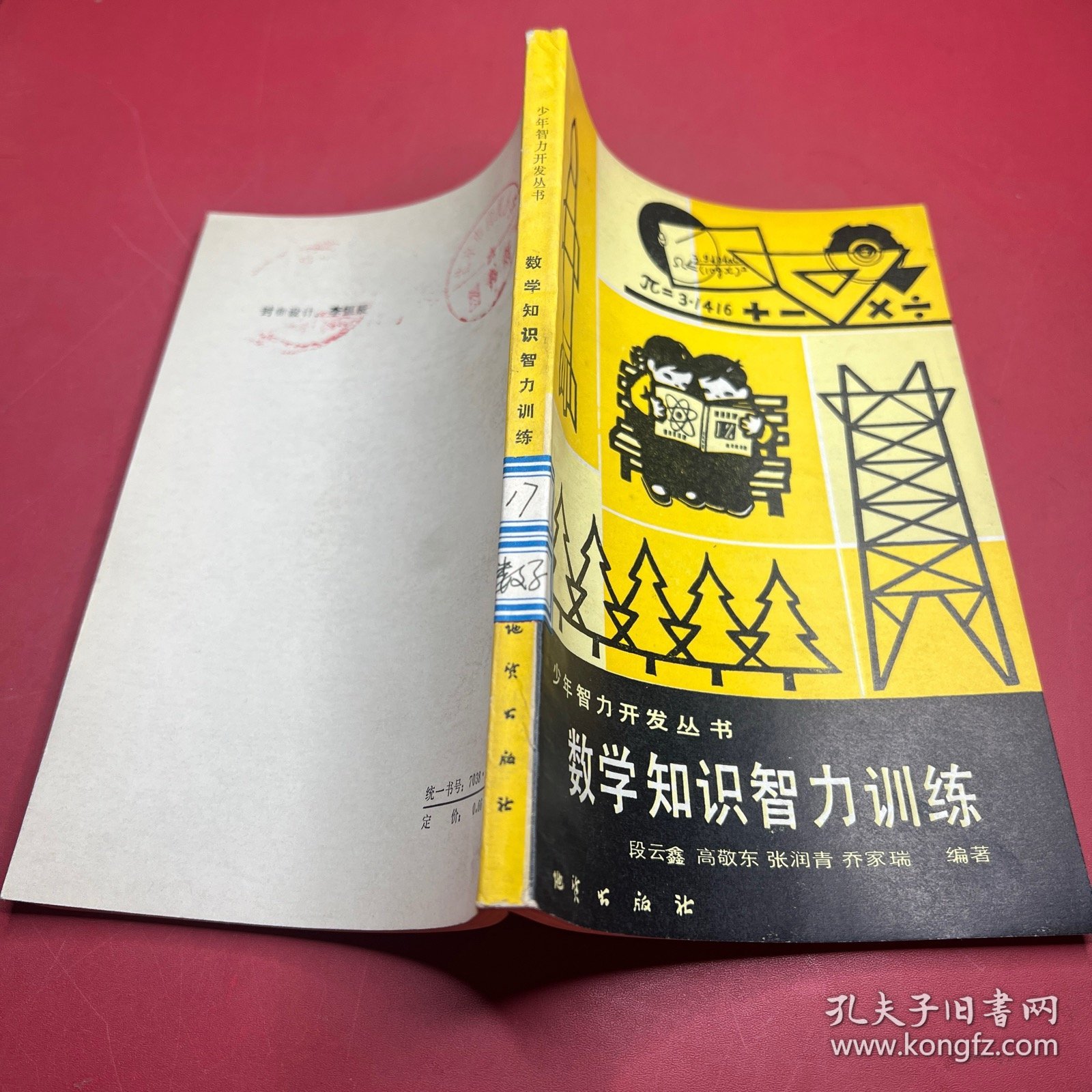 少年智力开发丛书 数学知识智力训练