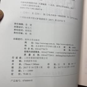 玩转天猫系列宝典：巧妙玩转精准引流