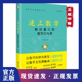 数学文化进课堂丛书：迷上数学 9787519126612