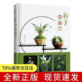 新手學(xué)養(yǎng)蘭