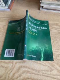 黄河悬河段地下水系统分析与模拟