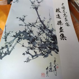 中国花鸟画家林远臻画集 签赠钤印本