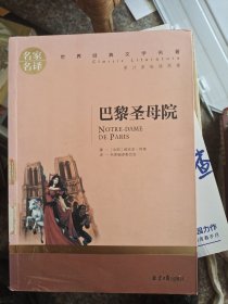 巴黎圣母院 名家名译世界经典文学名著 原汁源味读原著