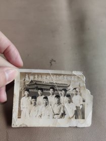 老照片，嘉兴专区粮食长安转运组留影1954年