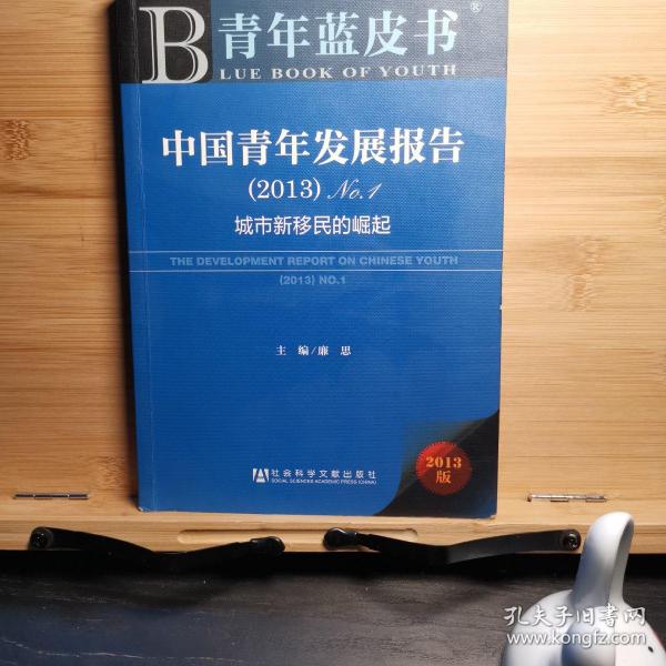 中国青年发展报告. （2013）No.1：城市新移民的崛起