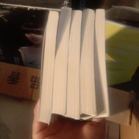 我的世界:避风港试炼，破碎，末地，海岛，末影龙（五本合售）