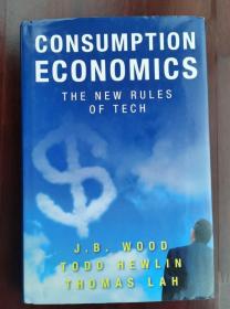 Consumption Economics: The New Rules of Tech（现货直发不耽误）