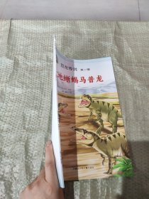 大地蜥蜴马普龙