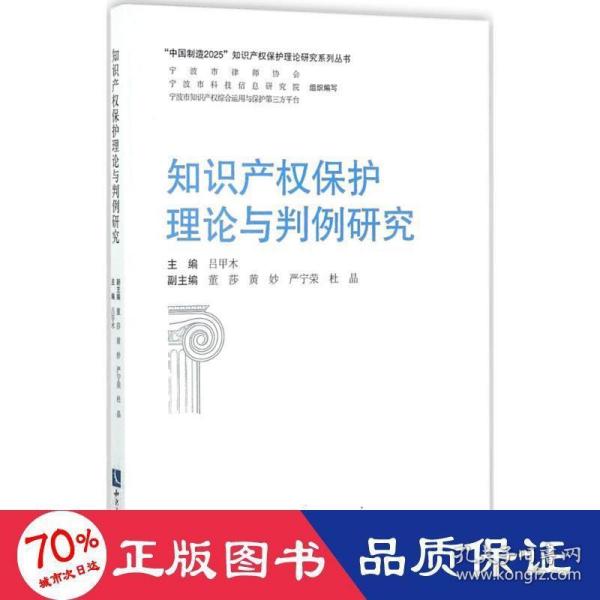 知识产权保护理论与判例研究