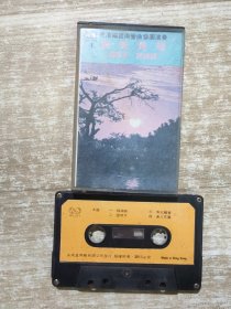 磁带 福建南曲 望明月 精神顿 鱼沉雁杳，因送哥嫂，赏春天等