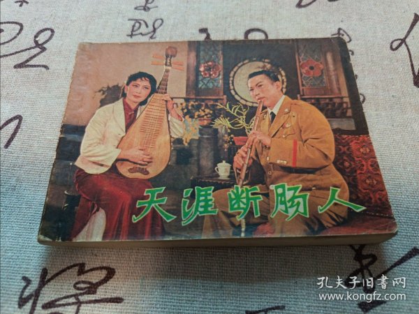 天涯断肠人