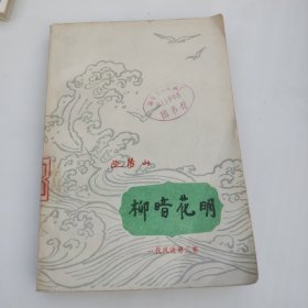柳暗花明