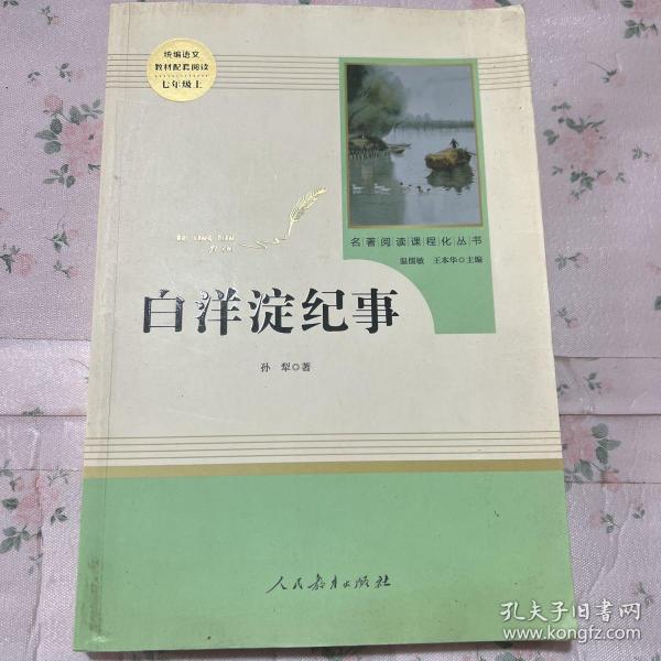 白洋淀纪事 名著阅读课程化丛书（统编语文教材配套阅读）七年级上