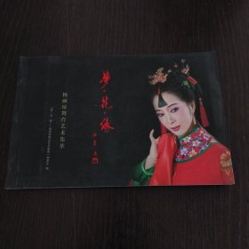 梦·花·缘 杨丽琼舞台艺术集萃
