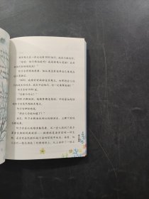 神秘机器鱼