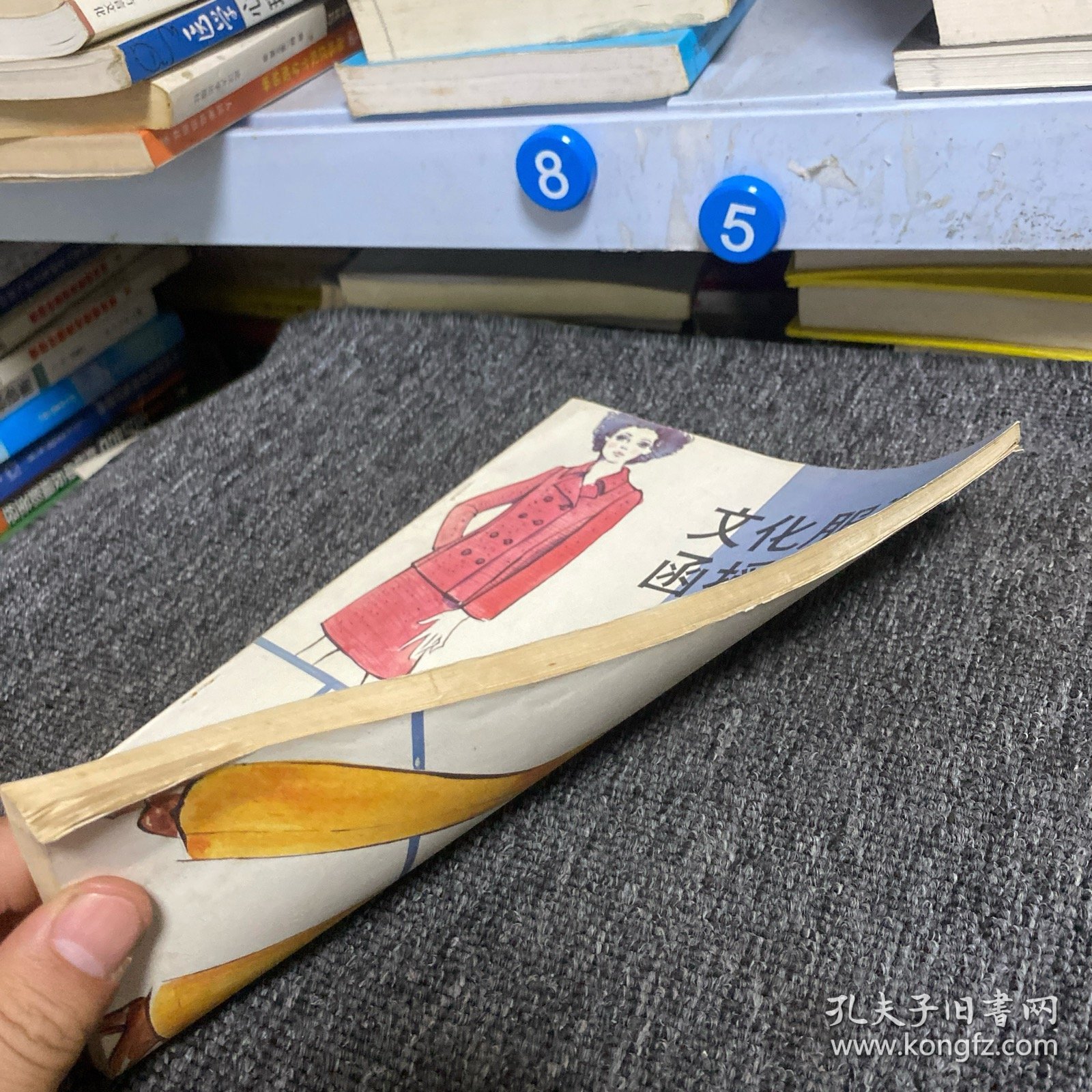 文化服装函授讲座第十册套装的应用