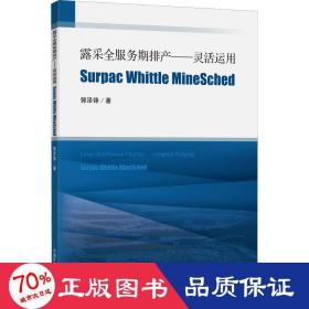 露采全服务期排产--灵活运用SurpacWhittleMineSched