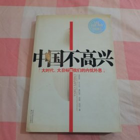 中国不高兴：大时代大目标及我们的内忧外患【内页干净】