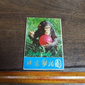 【明信片】北京动物园明信片【共13张合售】【满40元包邮】