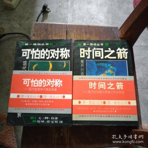 可怕的对称：现代物理学中美的探索