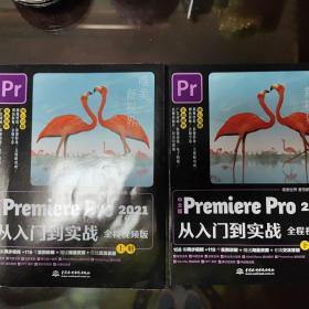 中文版Premiere Pro 2021从入门到实战 （全程视频版）