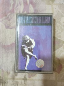 GUNS N' ROSES USE YOUR ILLUSION ‖