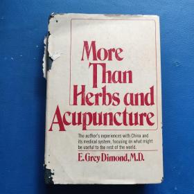 More Than Herbs and Acupuncture
(不仅仅是草药和针灸)