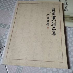苏严书法作品集