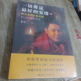 把生命的无常变成奇迹：一切都是最好安排2