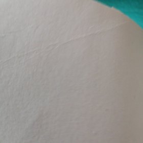 张学良暨东北军新论