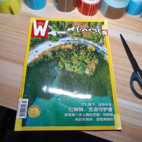 世界知识画报杂志2025年2月