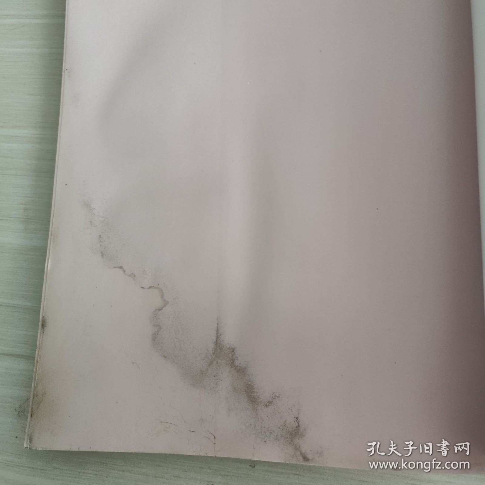 大自然科普童话绘本：带刺的小面包