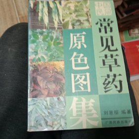 中国民间常见草药原色图集