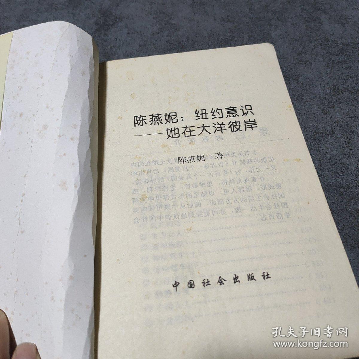 陈燕妮：纽约意识——她在大洋彼岸