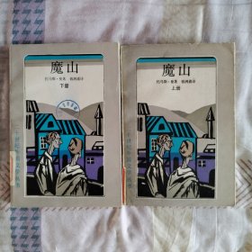 魔山（二十世纪外国文学丛书 上 下册）