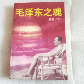 毛泽东之魂