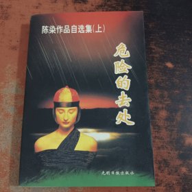 陈染作品自选集（上）：危险的去处