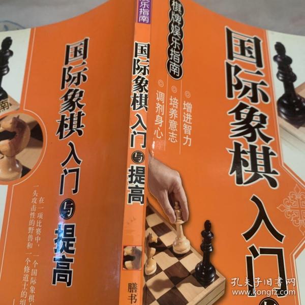 棋牌娱乐指南：国际象棋入门与提高