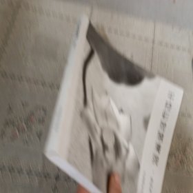 千枝彩荷落清漪