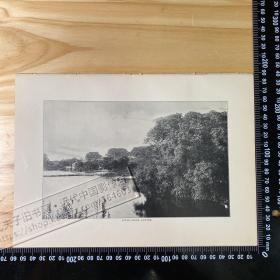 1907年出版物老照片印刷品——（1张，背面白页）——[CA06+A0116]——广州，河景