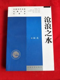 沧浪之水（人民文学出版社2001年10月版）