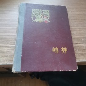 老笔记本 萌芽